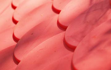 Knighton Fields plastic roof costs