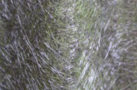 Knighton Fields fibreglass roof work